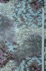Сетка трикотажная Индийский пляж на серо - голубом фон 3