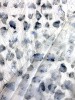 Курточная ткань ЛЕОПАРДОВЫЕ ПЯТНЫШКИ серо-голубые на молочном
