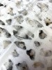 Курточная ткань ЛЕОПАРДОВЫЕ ПЯТНЫШКИ серо-песочные