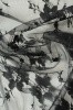 Черные узоры 4